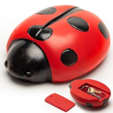 Imagem de SAFEHide A Key Outside (Ladybug)