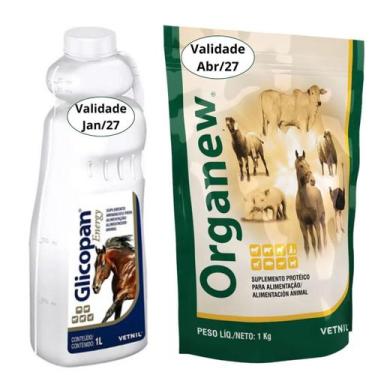 Imagem de Kit Glicopan Energy 1 Litro e Organew 1Kg Vetnil Suplemento para Caval