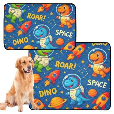 Imagem de Cute Dinosaurs Space Blue Reutilizável Pet Cat Pad Almofadas de xixi para cães, lavável, impermeável, cercadinho de cachorro à prova de vazamento para cães, médio + grande, conjunto de 2