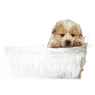 Imagem de 4 Quebra-Cabeças Dogs Animados Educação Inteligente 60 Peças