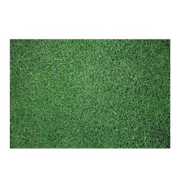 Imagem de Fundo Fotográfico Newborn Muro Inglês E Grama 1,5X1,2