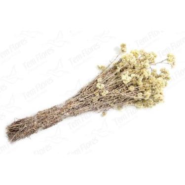 Imagem de Marcela Branca Natural Flor Desidratada Buque Flores Secas - Tem Flore