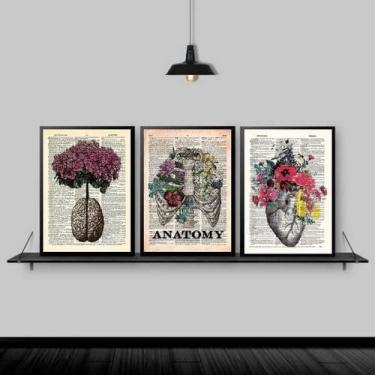 Imagem de Kit 3 Quadros Medicina Anatomia Flores 24X18Cm - Quadros On-Line