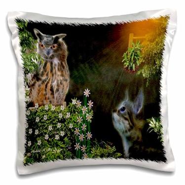 Imagem de 3dRose Capa para almofada The Owl and The Pussy Cat 40,64 cm x 40,64 cm