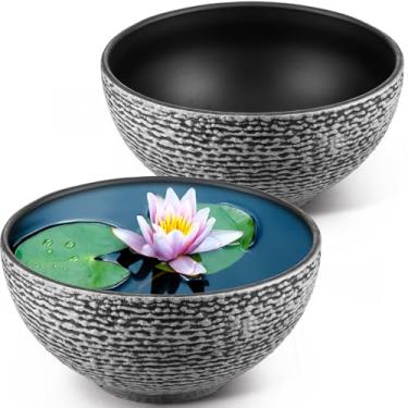 Imagem de RimCereal Pacote com 2 tigelas para plantador de lírios aquáticos, vaso hidropônico, vaso hidropônico, vaso de plantas aquáticas, jardim, para ambientes internos e externos, varanda, pátio, mini lagoa