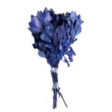 Imagem de Planta Seca Carne de Vaca Azul 50cm - Pense Flores