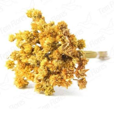 Imagem de Capim Cebolão para Decoração Natural Desidratado - Pense Flores, Amare