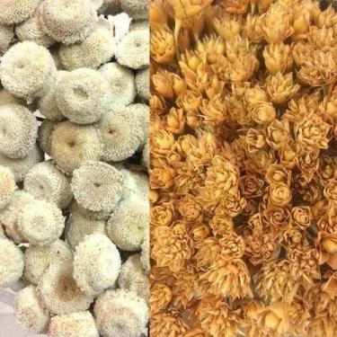 Imagem de Kit Sempre Viva Bolinha Bco Espetinho Natural Desidratada - Pense Flor