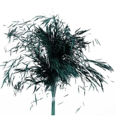 Imagem de Capim Chorão Verde Desidratado - Tem Flores