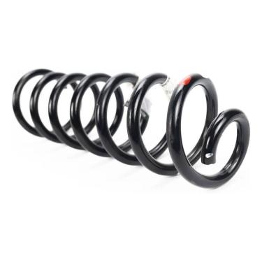 Imagem de Renault Sandero Mola Da Suspensão Traseira Genuíno