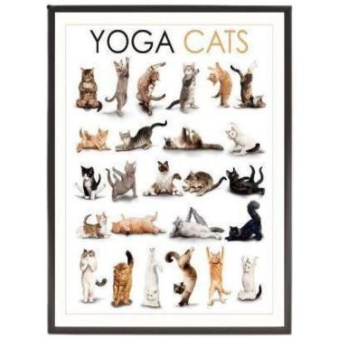 Imagem de Quadro Decorativo Yoga Cats 45X34 Com Vidro - Madeira Preta