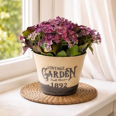 Imagem de Arranjo Planta Jardim Artificial Decoração Centro Mesa 15cm - Genérico