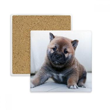 Imagem de Pippy Dog Pet Animal Linda Imagem Quadrada Porta-copos Porta-copos Caneca Suporte Subplaca Pedra de Isolamento