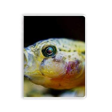 Imagem de Caderno de Peixe Tropical, Pequeno, com Capa para Goma do Organismo Marinho