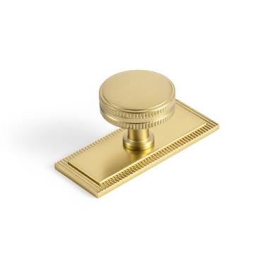 Imagem de Goo-Ki Puxadores de gaveta de armário com placa traseira/espaçador, bronze champanhe, liga de zinco, ferragens de cozinha - pacote com 6 puxadores de orifício único/barra de parafuso com placa de base