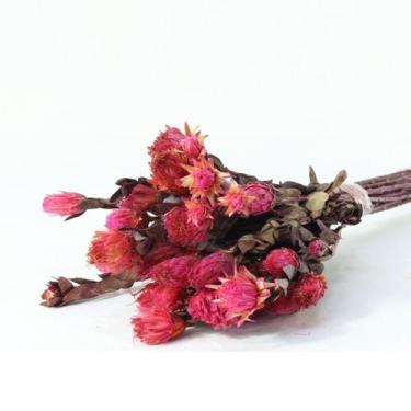 Imagem de Planta Seca Arapurama Desidratada Rosa - Pense Flores