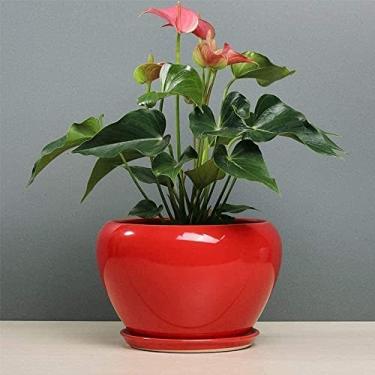 Imagem de Vaso de orquídea doméstico criativo vermelho simples vasos de flores de jardim vasos de cerâmica moderna grande vaso redondo flores de jardim planta de cacto com orifício de drenagem e pires (vermelho
