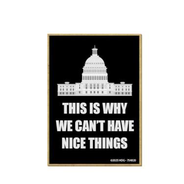 Imagem de Honey Dew Gifts, This is why We Can't Have Nice Things, 6,3 cm x 9 cm, decorações de armário, ímãs de geladeira, ímãs decorativos de geladeira, decoração política engraçada, 754820