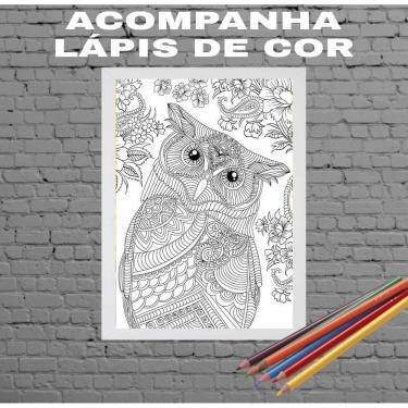 Imagem de Quadro Decorativo Para Colorir Coruja Moldura Branca 24X18Cm