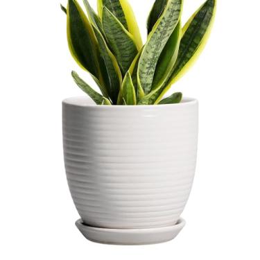 Imagem de EPFamily Vaso de cerâmica - Vasos de plantas de 15 cm com orifício de drenagem e bandeja de plantas modernas redondas decorativas de jardim branco