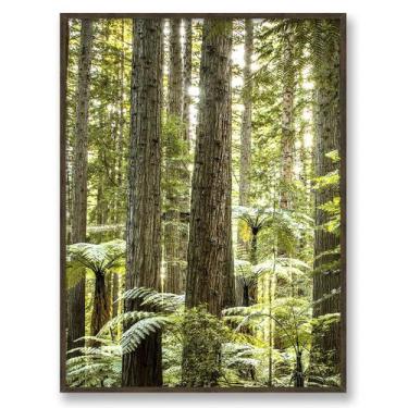 Imagem de Quadro Decorativo Floresta Natureza 62x47cm S Vidro Cor moldura - Deco