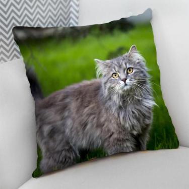 Imagem de Almofada Decorativa Cheia c/ Zíper Gatos Cat Felino - Deluzz, Maine Co