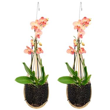 Imagem de Pacote com 2 vasos de bambu para pendurar orquídeas com 10 cm de diâmetro para pendurar orquídeas com gancho de metal para treliça ou gazebo para plantador de flores interno e externo