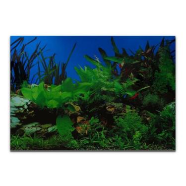 Imagem de Painel Aquários Fundo Azul, Rochas E Plantas 60X200Cm Pp-085