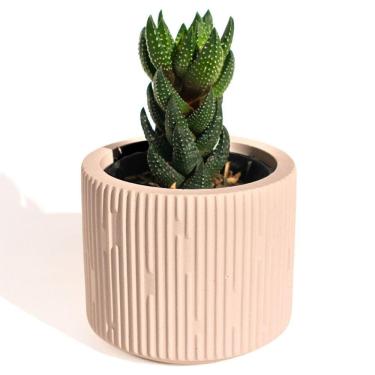 Imagem de Vaso Decorativo Contemporâneo 7cm Em Cimento Artesanal Palha