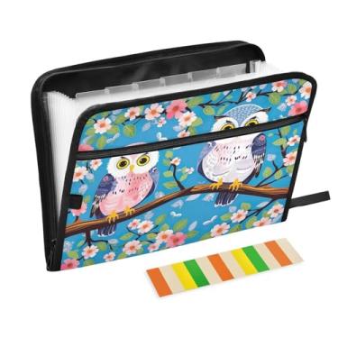 Imagem de Wassud Duas corujas fofas (2) 13 bolsos organizador de arquivos sanfonado pastas expansíveis com abas e adesivos, organizador de pastas de documentos de recibo de papel tamanho carta A4 para viagens