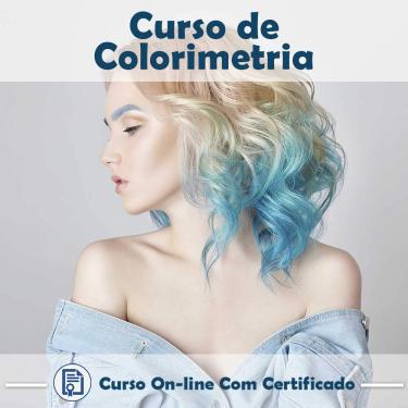 Imagem de Curso online em videoaula sobre Colorimetria Capilar com Certificado + 2 brindes