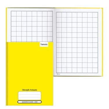Imagem de Tamoio - CADERNO QUADRICULADO 40 FOLHAS 2X2CM CD - TAMOIO