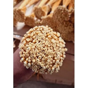 Imagem de Flor Sempre-Viva Natural Desidratada Kit 300 600 1200 Flores – Decoração Festa Casamento e Arranjos Artesanais (Botão jazida 200 hastes,600 flores atacado)