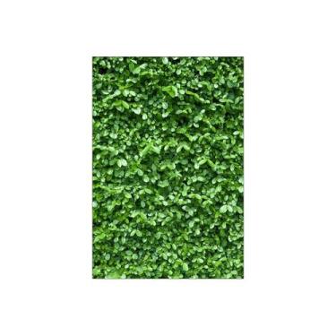 Imagem de Painel De Festa Vertical 1,50 x 2,20 - Efeito Muro Inglês Claro 030 - 