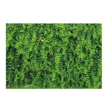 Imagem de Fundo Fotográfico Muro Inglês 2,2X1,5 Fff-503