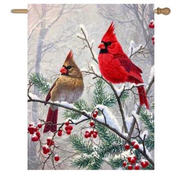 Imagem de Bandeira de jardim DZGlobal Winter Cardinal Bird House 70x100cm