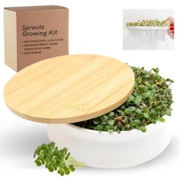 Imagem de Kit de crescimento de brotos | Kit de germinação empilhável com tampa de bambu | Kit minimalista de cultivo de microgreens | Kit de cultivo de brotos de brócolis | Criador de brotos para verduras