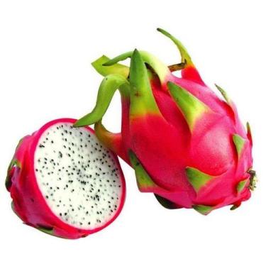Imagem de Muda de Pitaya Branca -estaca sem Raiz - no-brand