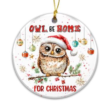 Imagem de Coruja Be Home para enfeite de Natal 2025 – decoração de árvore de Natal de coruja fofa com chapéu de Papai Noel, enfeite de trocadilho de férias, presente divertido para amantes de animais, lembrança