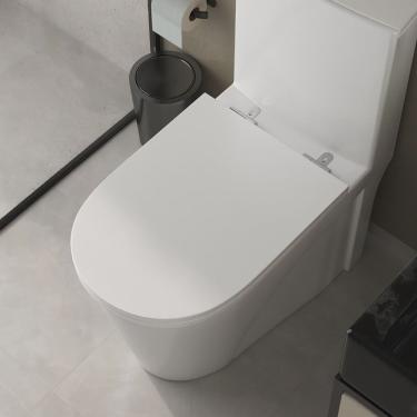 Imagem de Assento Sanitário Poliéster Para Louça Link/Carrara/Belle Époque (Deca) Slow Close Croma Sedile