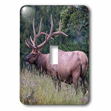 Imagem de 3dRose lsp_279852_1 Alce Masculino com Chifres Impressionantes. Parque Nacional Yellowstone. Interruptor Wyoming, Misto