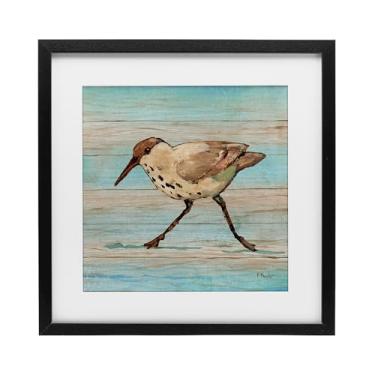 Imagem de Stupell Industries Impressão emoldurada em preto Coastal Teak Sandpiper Under Glass por Paul Brent, 33 x 33