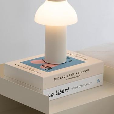 Imagem de Caixa organizadora de cabos decorativos em forma de livro - Caixa organizadora de cabos expansível com fecho magnético para casa e escritório (Libert Paris, padrão)