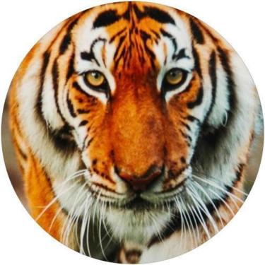 Imagem de Capa De Estepe Ecosport Aircross Tigre