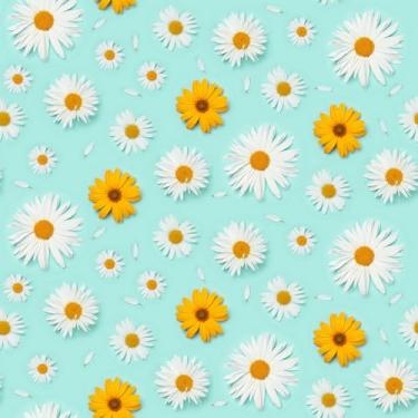 Imagem de Papel De Parede Lavável Girassol Margarida Azul Amarelo 10m