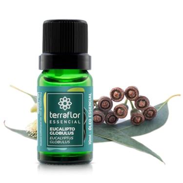 Imagem de Óleo Essencial de Eucalipto Globulus 100% Puro Natural e Vegano 10ml Terra Flor
