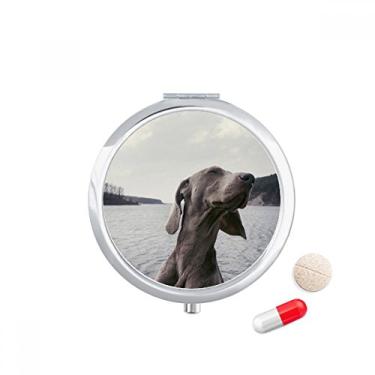 Imagem de Caixa de comprimidos cinza para cães e animais de estimação, caixa de armazenamento de remédios