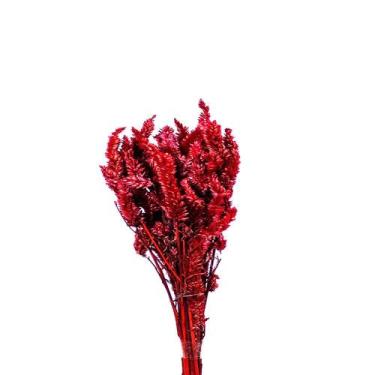 Imagem de Celósia Rabo De Gato Vermelho Desidratado - Tem Flores
