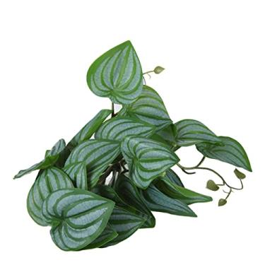 Imagem de Pissente Planta de Réptil Artificial, Decoração de Folhas de Plástico Realista para Terrário de Répteis e Tanque de Peixes, Com Ventosas, Material Não Seguro (folhas de melancia)