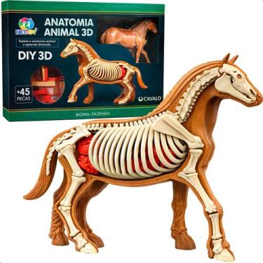 Imagem de Cavalo Anatomia 3D Educativo Montar Esqueleto com 45 peças - NetToy